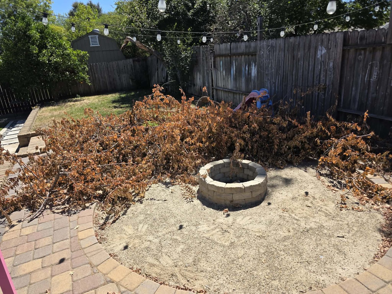 Clean Slate Hauling and Removal brush around fire pit before cleanup